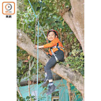 攀樹期間，小朋友可坐在樹椏上，一嘗高人一等的感受。