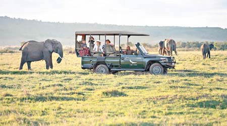 行程安排乘坐越野開篷四驅車穿梭肯尼亞的野生動物保護區。 