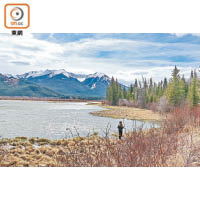 弓河旁邊的Vermilion Lakes，也是拍攝周邊眾山的好地方。