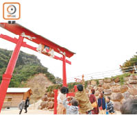 神社其中一個主要鳥居設有離地5米高的香油箱，相傳只要能成功投進香油錢，就可願望成真。