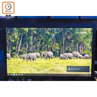 測試區<br>4K屏幕色域達100% Adobe RGB，試播4K影片時，連草地層次和動物質感都清晰顯現。