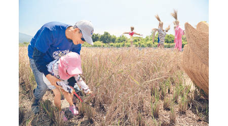 台灣近年力推農業、生態、工廠等觀光活動，正好為小朋友於暑假來趟旅行×學習的行程。