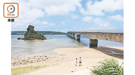 從南端展望所，可將古宇利大橋、海島和周邊的岩石飽覽一番。