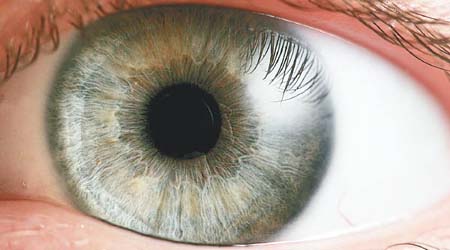 https://commons.wikimedia.org/wiki/File:Eye_iris.jpg