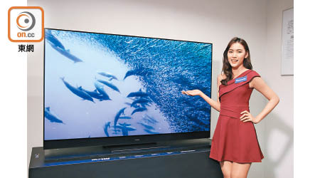 GZ系列OLED電視<br>售價：待定