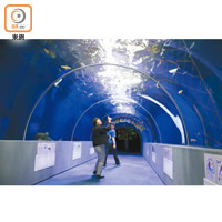 隧道水族箱部分是場內的焦點之一，可觀賞三陸沖海域的魚類。