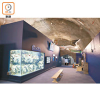 久慈地下水族科學館是日本首個藏於地底的水族館。