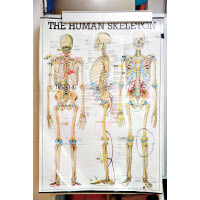 人體解剖生理學是其中一個學習領域。