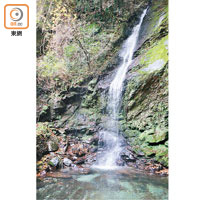 距離蔓橋不遠處有落差達50米的琵琶瀑布，同樣是人氣景點。