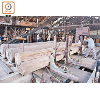 展示館透過展出各種木材與機械，重現出50年代工人們鋸木光景。