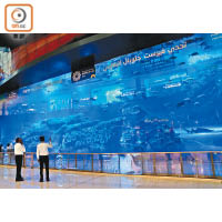 全球最大懸浮式水族館之一的Dubai Aquarium & Underwater Zoo，足足橫跨商場三層樓的高度。
