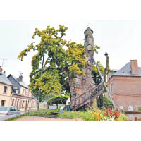 橡樹教堂位於法國北部村莊，於古老橡樹內設有兩間教堂。