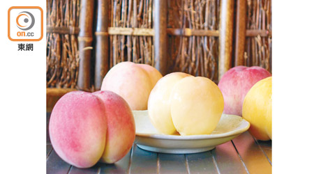 由現時至9月，日本的水蜜桃正值當造，不同地區出產各具特色。