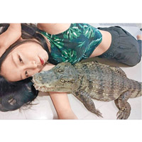 沙西米經常於網絡分享養鱷心得。