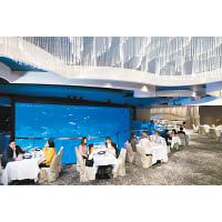 餐廳內有13米闊的巨型觀賞屏，可以看到不少珍貴的魚類。