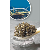 Beluga Caviar<br>取自Beluga鱘魚，需最少20年才長成產卵，魚身體積龐大，愈年老的鱘魚愈罕有，味道亦較醇厚。