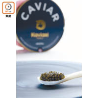 Oscietra Caviar<br>Oscietra需時約12至14年長成產卵，每條重約80至200磅，魚子入口有股榛子香。