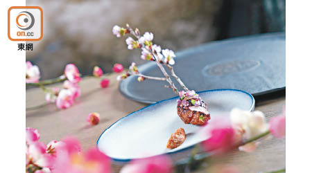 Sakura：炭燒雞肉灑上醃漬櫻花，旁邊是春日時令的大黃和師傅自製的櫻花醬、北歐風薏米醬和聖誕樹葉等製作的配料，放上一枝真櫻花，美味而富意境。