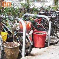 元朗紅棉圍單車停泊區被放置花盆等雜物。