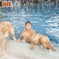 動物組織指，游泳有助狗隻健康。	（資料圖片）