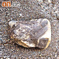 趙紹根早前親自到江西考察採集鎢礦樣本。（中國事務顧問提供）