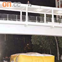 報稱遭入境處屈的男子危坐天橋頂，消防員在地面張開救生墊。	（郭垂垂攝）