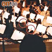 香港管弦樂團一名成員在陳潔靈音樂會上不停玩手機。	（讀者提供圖片）