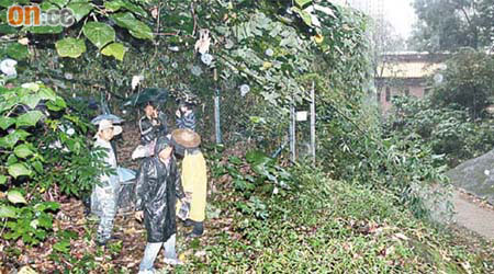 地政總署昨日派員到大圍白田村二區清拆政府土地上僭建的鐵絲網。	（趙瑞麟攝）