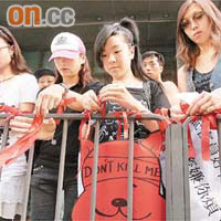 遊行人士將紅絲帶綁在鐵欄上表明守護動物的決心。