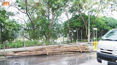 馬路遭佔用堆放竹枝，對途經駕駛者安全構成危險。