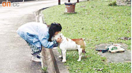 女事主見回愛犬老虎狗，深情擁吻。	（朱偉坤攝）