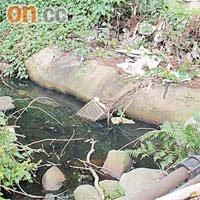 雷公田村內不少河道水流極慢，成為蚊子孳長溫床。