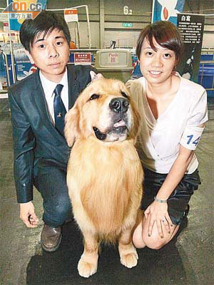 李女士（右）的金毛尋回犬在槍獵犬組別奪冠，左邊是其丈夫。	（鍾麗珊攝）