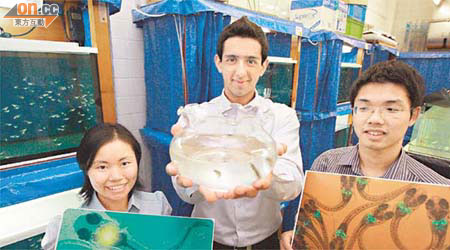 城大學生以介紹「基因魚」快速測試服務，獲得兩項國際殊榮。左起：陳雪平、Kunal Parwani、陳子翔。	（周景文攝）