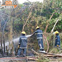 消防員向着火的竹林射水灌救。	（陳錦昌攝）  