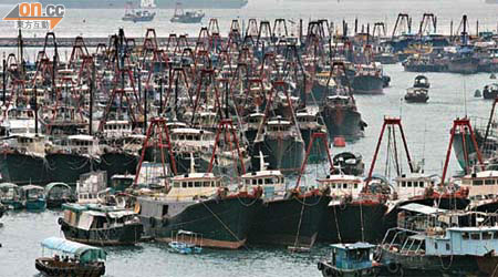 香港仔避風塘昨日泊滿回港避風的漁船。