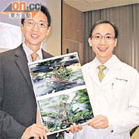 陳力元（左）及黃煒燊均指，若證實真珠草能有效治療脂肪肝病人，將有助研發首隻脂肪肝藥物。