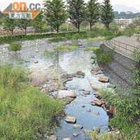 林村河上游河道改善後的模擬圖，河岸使用石籠及植樹。