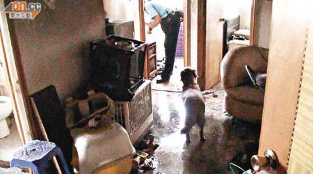 發生洗衣機着火的單位滿布積水，狗隻安全無恙。	（陳展鴻攝）