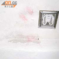 色水測試證實劉先生單位廁所滲水源頭來自上層單位。