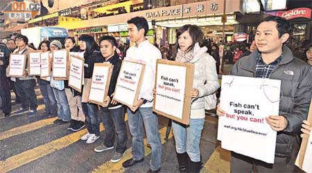 環保團體陸續發起抗議行動，反對本港食肆以天價競投藍鰭吞拿魚。	（袁志豪攝）