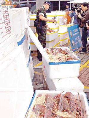 水警展示檢獲的貴價海鮮，當中包括龍蝦。	（翁火攝）