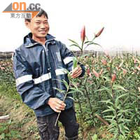 信哥表示，本港花農種植的花卉，極受市場歡迎。