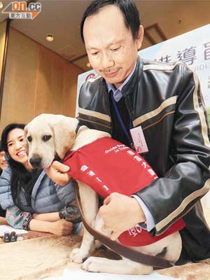 來自台灣的導盲犬昨抵港。	（袁志豪攝）