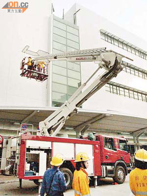 消防員架起升降台協助檢走雀屍。	（蘇仲賢攝）