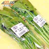 被驗出輻射超標九倍的日本供港菠菜。