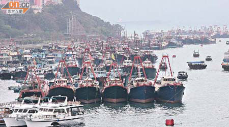農曆新年後魚獲銳減，近百艘漁船停泊在避風塘，暫停出海捕魚。
