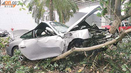 肇事跑車衝入花槽撞樹，毀爛不堪。（蕭添榮攝）