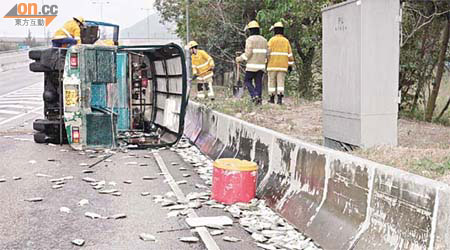 運魚車翻側路旁，鮮魚散滿地上。 （胡德威攝）