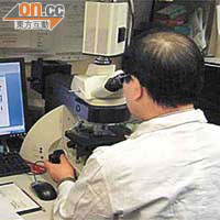 傳統的染色體核型分析，是利用顯微鏡觀察染色體形態，未必能觀察到染色體微小結構的變異。